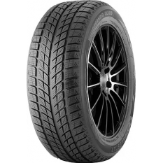 Зимние шины Doublestar DW09 215/55 R18 95H Зимние шины Doublestar DW09 215/55 R18 95H - фото
