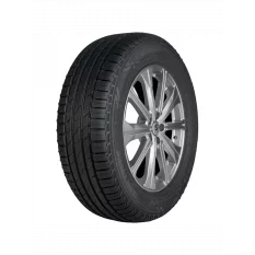 Летние шины Ikon Tyres 235/55 R17 - фото