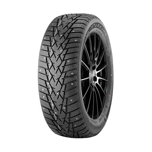 Зимние шины Doublestar DW01 245/70 R16 107Q - фото