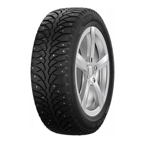 Зимние шины Tunga Nordway 2 175/70 R13 82Q - фото
